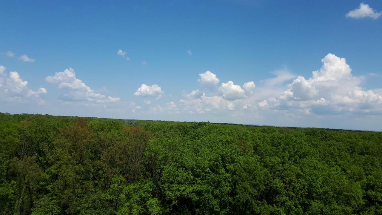 Foresthouse 2 Timisoara Ngoại thất bức ảnh