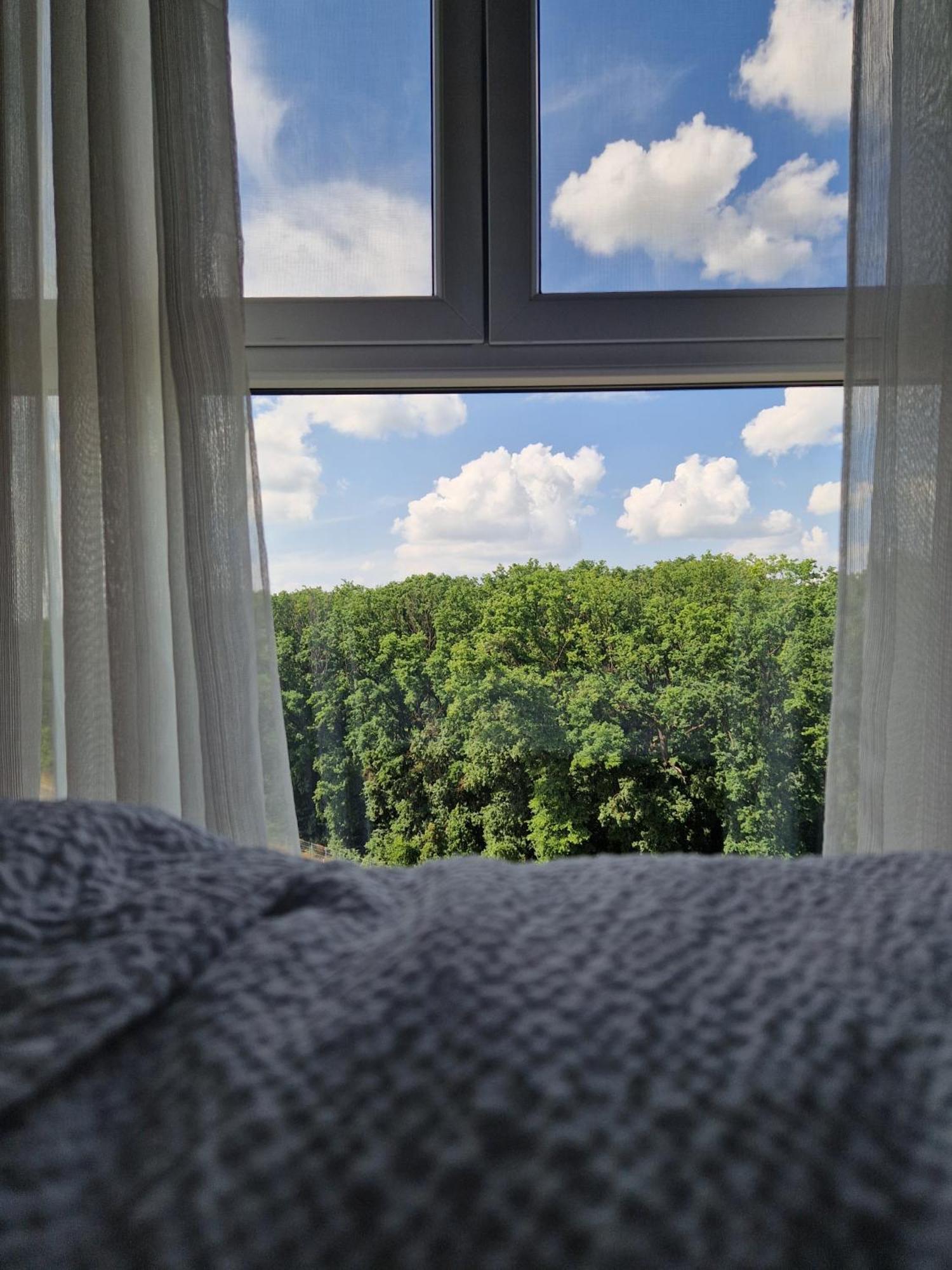 Foresthouse 2 Timisoara Ngoại thất bức ảnh